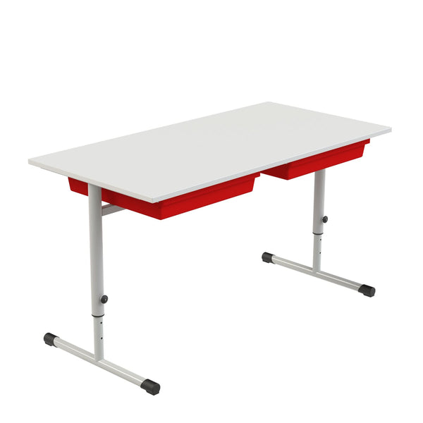 Eduflex Double Desk T Leg With Trays