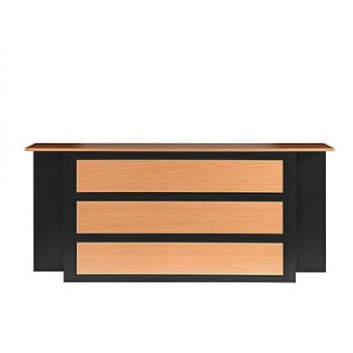 Horizon Reception Desk