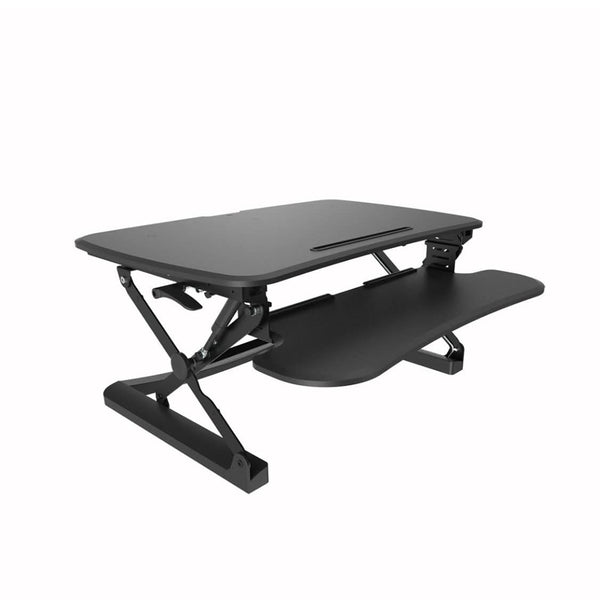 Level 2 - Sit Stand Platform