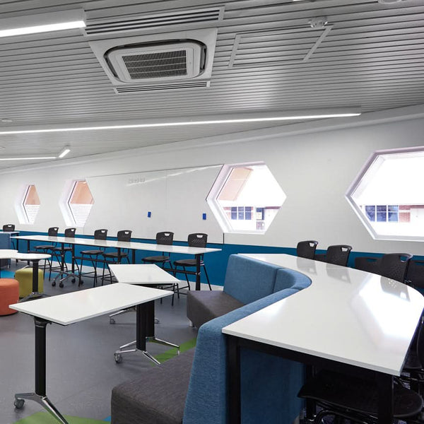 Spectator Collection